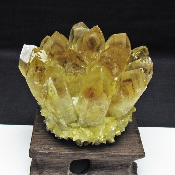 黄水晶 イエロークォーツ クラスター  [t802-6367]