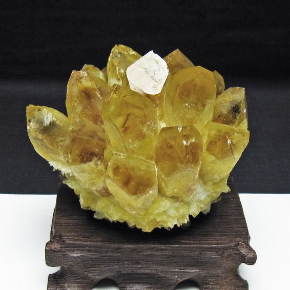 黄水晶 イエロークォーツ クラスター  [t802-6401]