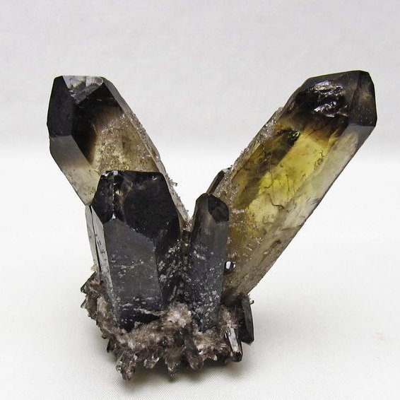 黒水晶 ブラッククォーツ クラスター [t802-6572]