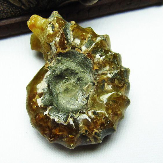 ドゥビレイセラス  化石[M85-990]