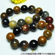 木化石（珪化木）：さまざまな紋様が美しい木化石