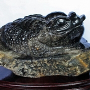 ★浄化効果★43.5Kg 黒水晶（モリオン）金蟾 同梱不可 [S4-19] （納品日程ご相談品）（特大品）