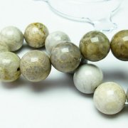 フォッシルコーラル ブレスレット  化石珊瑚 16mm [T155-1247]