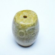 サンゴ（珊瑚）は仏教では七宝のひとつ