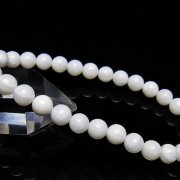 シャコガイ ブレスレット 6mm [t217-1605]
