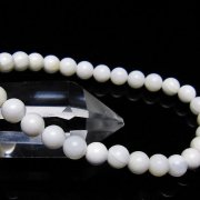 シャコガイ ブレスレット 6mm [t217-1616]
