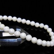 シャコガイ ブレスレット 6mm [t217-1627]