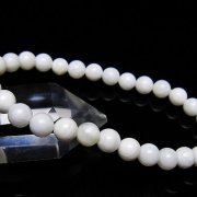 シャコガイ ブレスレット 6mm [t217-1630]