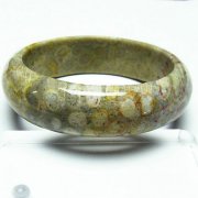 フォッシルコーラル バングル  化石珊瑚 60mm [T23-2391]