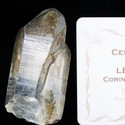 シトリン レムリアンシード水晶 原石 ミナスジェライス州コリント産 ※証明書付き[T370-4181]