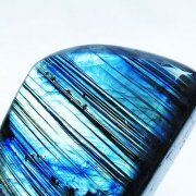 アンモナイト化石（100） 27.5Kg アンモナイト 化石 同梱不可 [t726-1003]