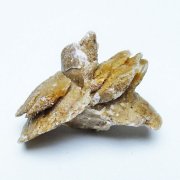 デザートローズ（砂漠の薔薇）砂の中から見つかる不思議な石