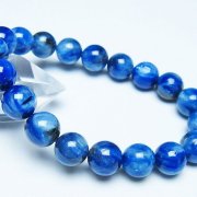 アンモナイト 化石[t723-1717]