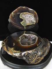 専用台座付き商品特集