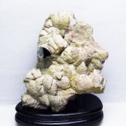 1.7Kg 山東省産 モリオン 純天然 黒水晶 クラスター[T728-1924]
