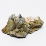 山東省産 モリオン 純天然 黒水晶 クラスター [t728-2141]