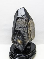2.1Kg モリオン 純天然 黒水晶 原石 [t735-4055]