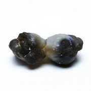 カルセドニーノジュール(球状玉髄) モロッコ産 ツーソン展示会品[T742-609]