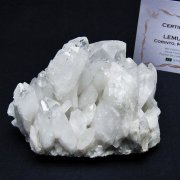 レムリアンシード 水晶 クラスター ミナスジェライス州コリント産 ※証明書付き [t759-1259]
