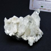 レムリアンシード 水晶 クラスター ミナスジェライス州コリント産 ※証明書付き [t759-1284]