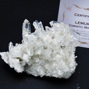 レムリアンシード 水晶 クラスター ミナスジェライス州コリント産 ※証明書付き [t759-1381]