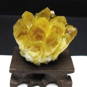 黄水晶 イエロークォーツ クラスター  [t802-6317]