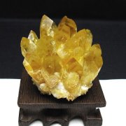 特価　シトリンクラスター　17 シトリンクラスター M17(129.1g) | Wisteria（ウィステリア）