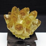 黄水晶 イエロークォーツ クラスター  [t802-6344]