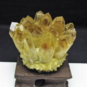 黄水晶 イエロークォーツ クラスター  [t802-6367]