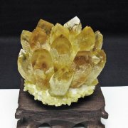 黄水晶 イエロークォーツ クラスター  [t802-6384]