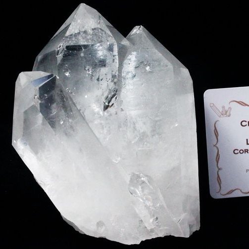 レムリアンシード ダブルポイント水晶 クラスター ミナスジェライス州コリント産 ※証明書付き[T143-2094]