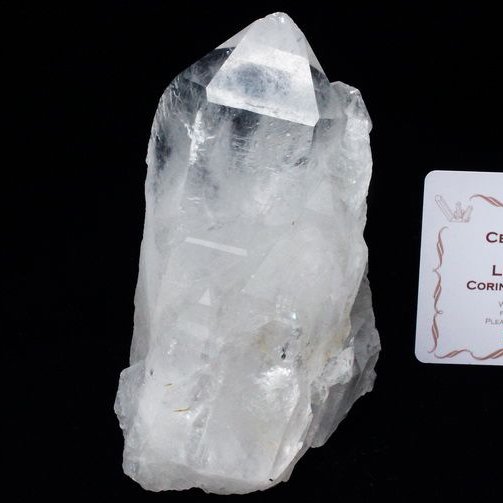レムリアンシード カテドラルライブラリー 水晶クラスター ミナスジェライス州コリント産 ※証明書付き[T143-2418]