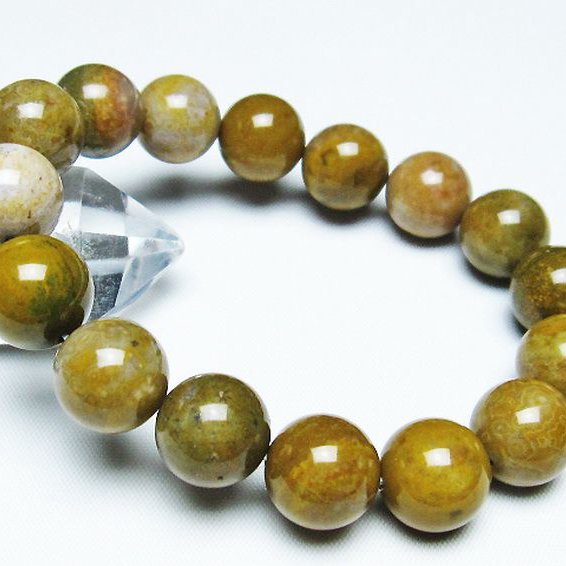 オーシャンジャスパー ブレスレット 13mm [T153-3245]