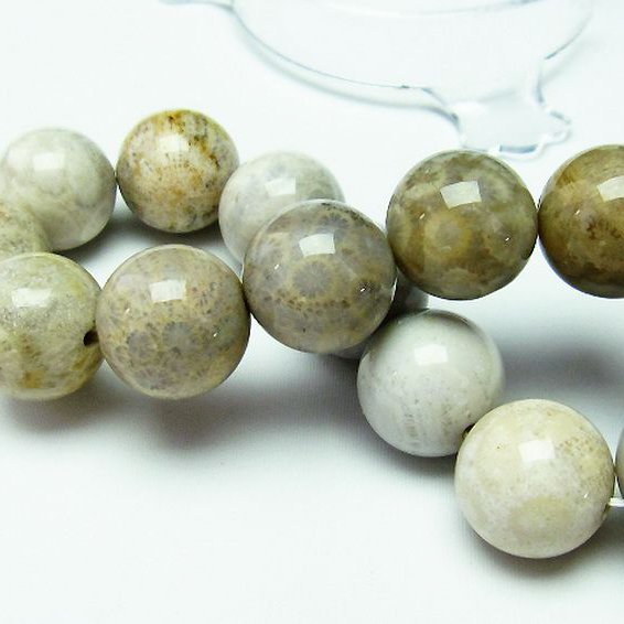 フォッシルコーラル ブレスレット  化石珊瑚 16mm [T155-1247]