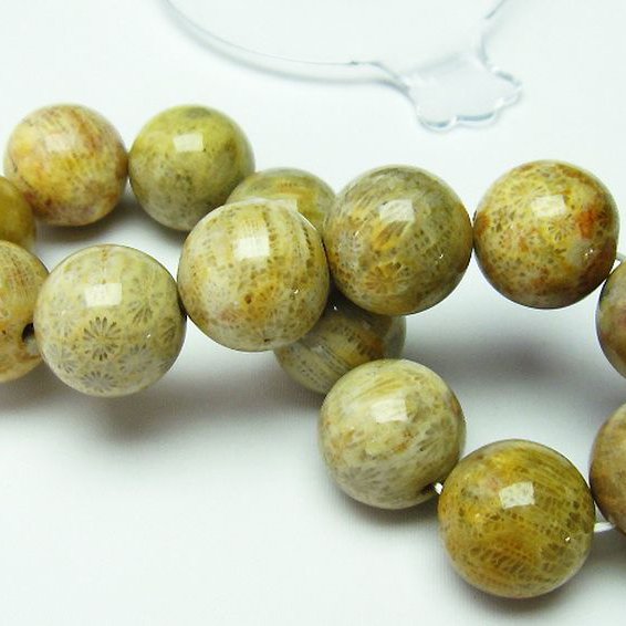 フォッシルコーラル ブレスレット  化石珊瑚 16mm [T155-1251]