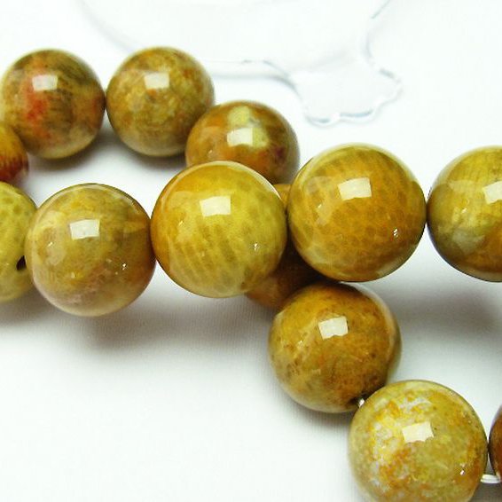 フォッシルコーラル ブレスレット  化石珊瑚 16mm [T155-1267]