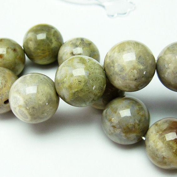 フォッシルコーラル ブレスレット  化石珊瑚 19mm [T155-1269]