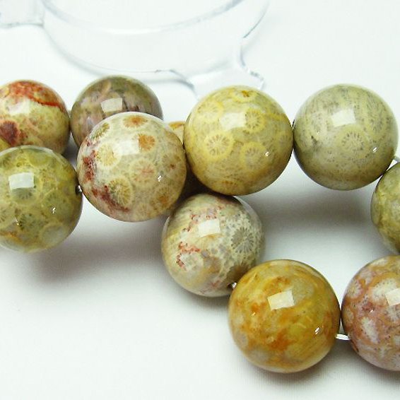 フォッシルコーラル ブレスレット  化石珊瑚 19mm [T155-1271]