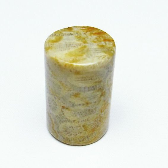 フォッシルコーラル 円柱形 タンブル（穴なし） 化石珊瑚[T155-2120]