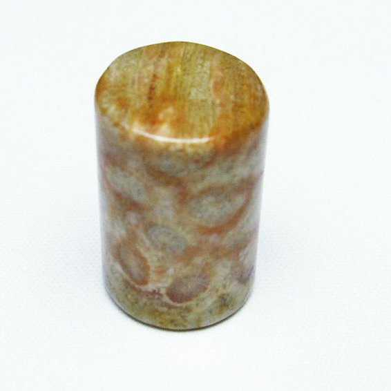 フォッシルコーラル 円柱形 タンブル（穴なし） 化石珊瑚[T155-2134]