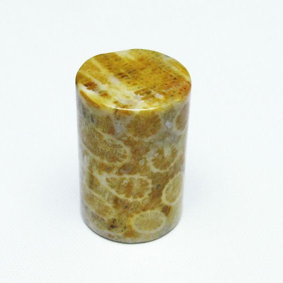 フォッシルコーラル 円柱形 タンブル（穴なし） 化石珊瑚[T155-2155]