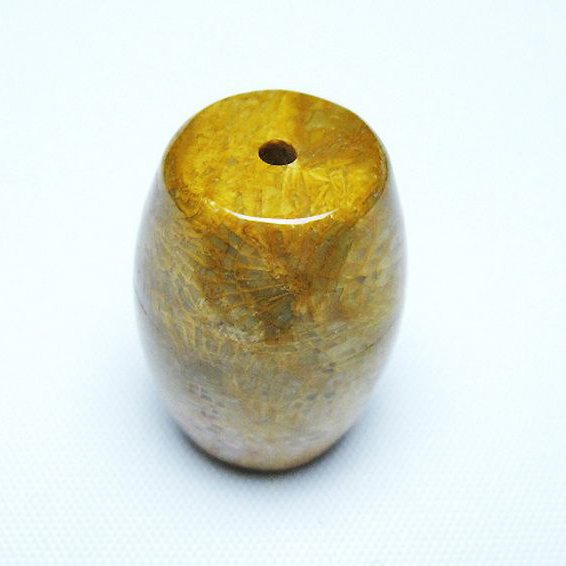 フォッシルコーラル 天珠 化石珊瑚[T155-2277]