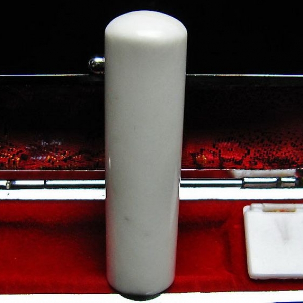 シャコガイ 印材 17mm [T203-147]