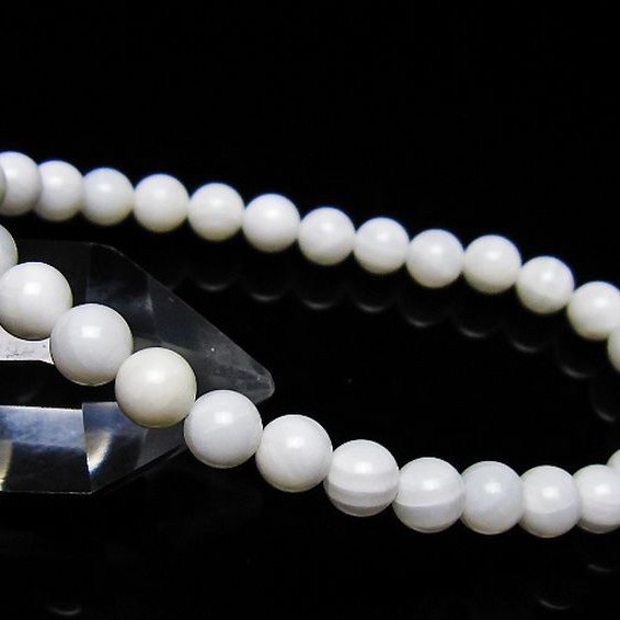 シャコガイ ブレスレット 6mm [t217-1547]