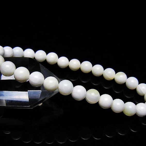 シャコガイ ブレスレット 6mm [t217-1550]