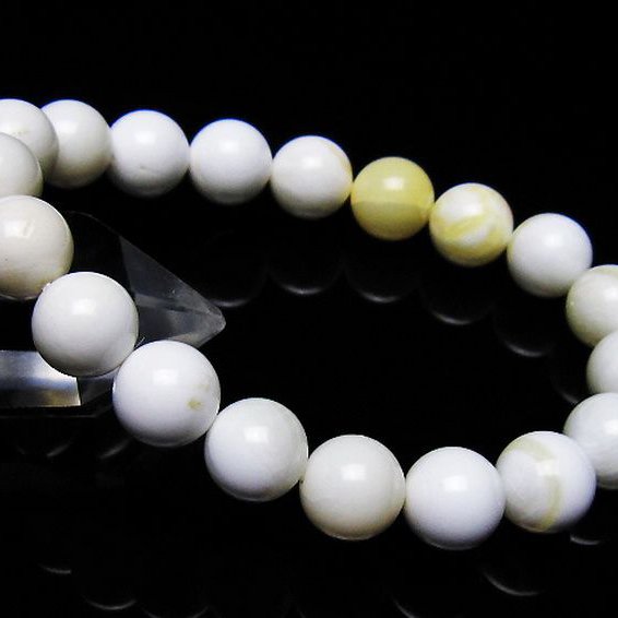 シャコガイ ブレスレット 10mm [t217-1554]