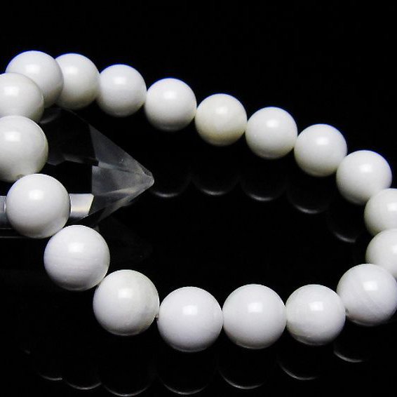 シャコガイ ブレスレット 10mm [t217-1558]