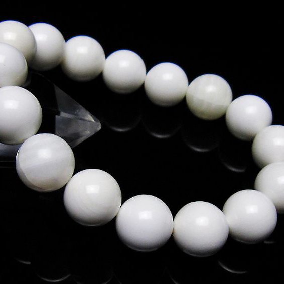 シャコガイ ブレスレット 12mm [t217-1567]