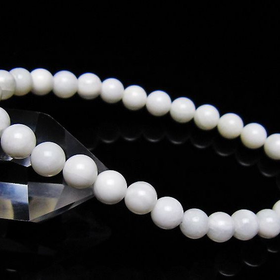 シャコガイ ブレスレット 6mm [t217-1608]