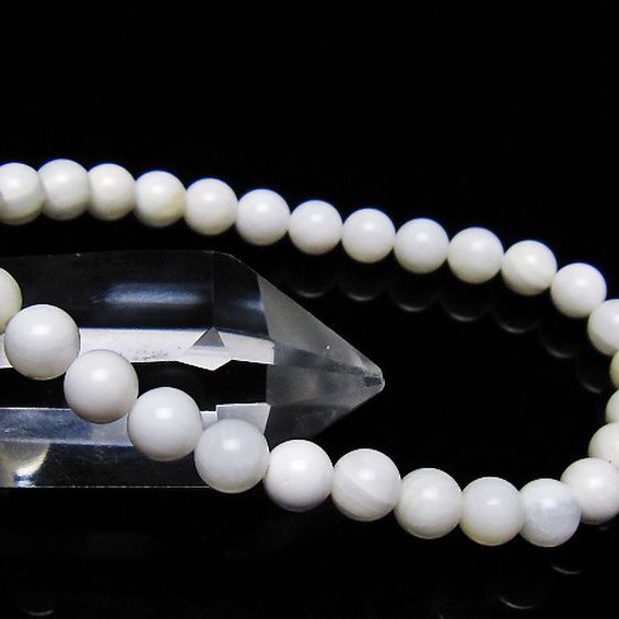 シャコガイ ブレスレット 6mm [t217-1616]